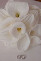 DMP_1252.JPG