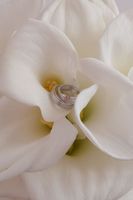 DMP_1254.JPG