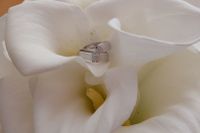 DMP_1255.JPG
