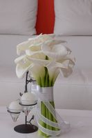 DMP_1257.JPG