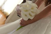 DMP_1299.JPG
