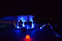 DMP_2823.JPG